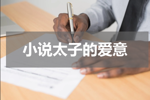 小说太子的爱意