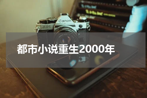 都市小说重生2000年