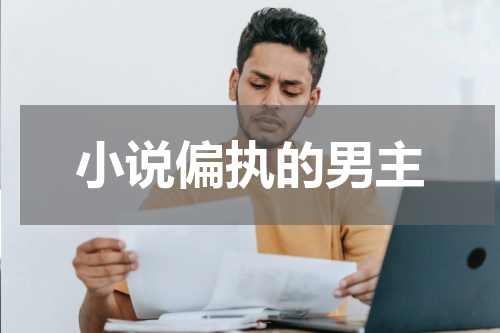 小说偏执的男主