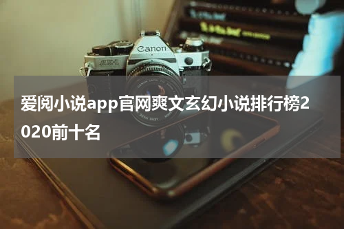 爱阅小说app官网爽文玄幻小说排行榜2020前十名