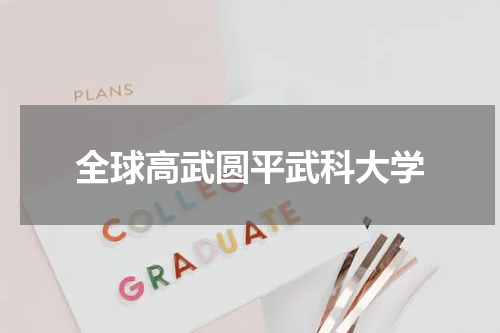 全球高武圆平武科大学