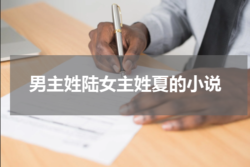 男主姓陆女主姓夏的小说