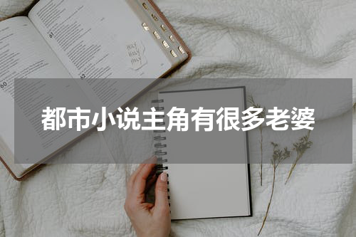 都市小说主角有很多老婆