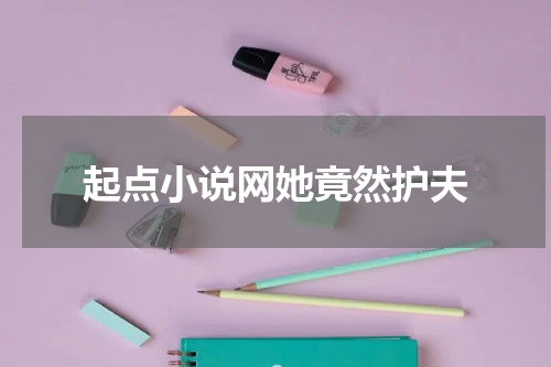 起点小说网她竟然护夫