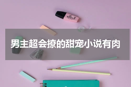 男主超会撩的甜宠小说有肉