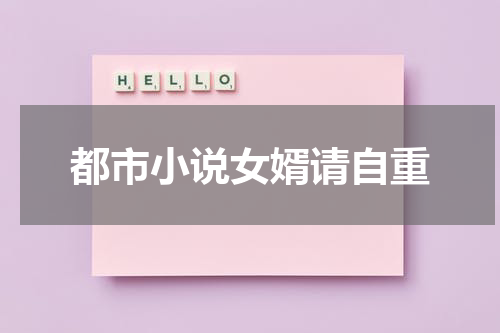 都市小说女婿请自重