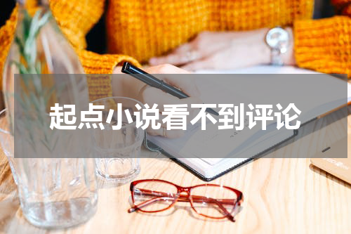 起点小说看不到评论
