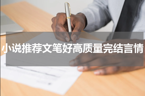 小说推荐文笔好高质量完结言情