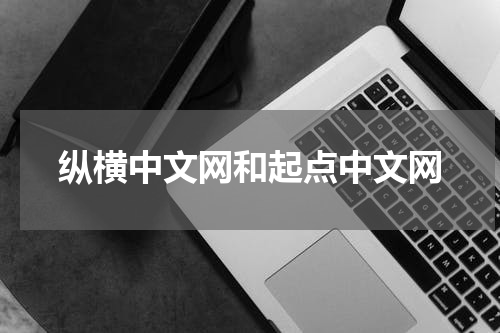 纵横中文网和起点中文网