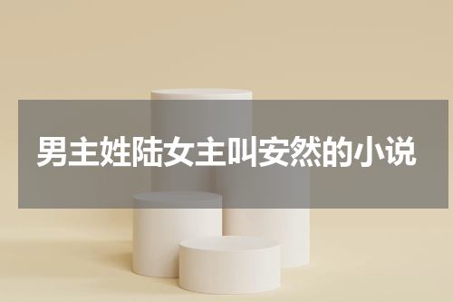 男主姓陆女主叫安然的小说