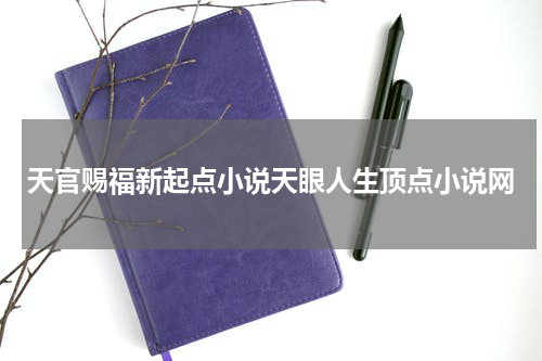 天官赐福新起点小说天眼人生顶点小说网