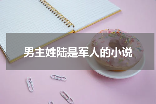 男主姓陆是军人的小说