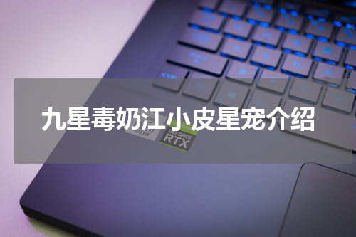 九星毒奶江小皮星宠介绍