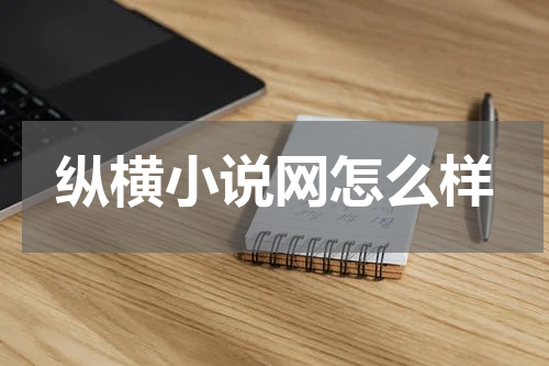 纵横小说网怎么样