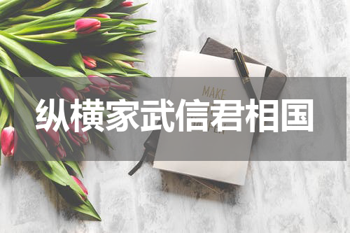 纵横家武信君相国