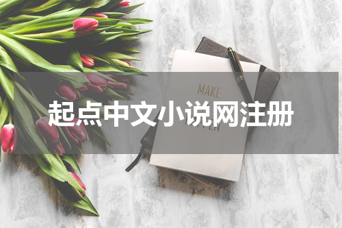 起点中文小说网注册