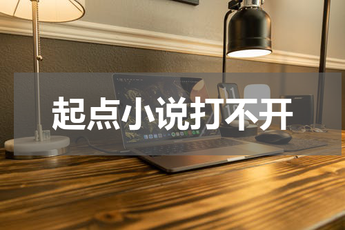起点小说打不开
