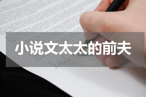 小说文太太的前夫