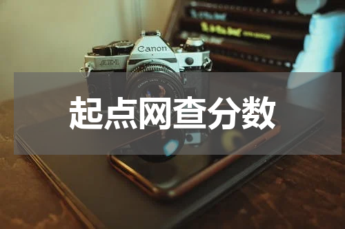 起点网查分数