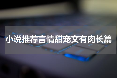 小说推荐言情甜宠文有肉长篇