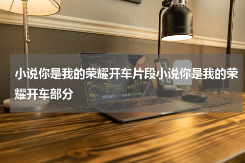 小说你是我的荣耀开车片段小说你是我的荣耀开车部分