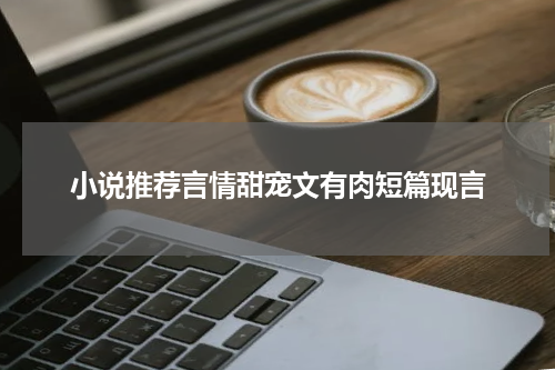 小说推荐言情甜宠文有肉短篇现言