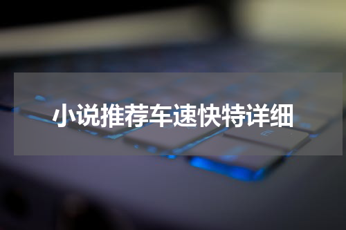 小说推荐车速快特详细