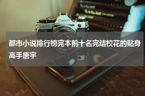 都市小说排行榜完本前十名完结校花的贴身高手唐宇