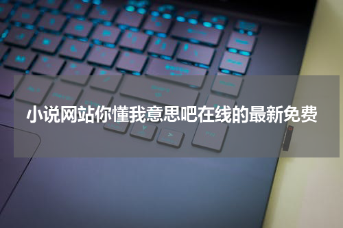 小说网站你懂我意思吧在线的最新免费