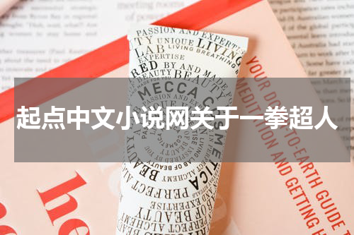 起点中文小说网关于一拳超人