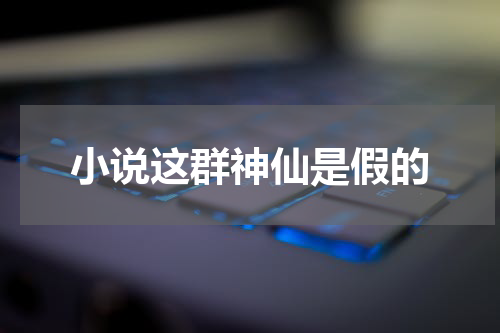 小说这群神仙是假的