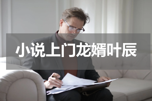 小说上门龙婿叶辰