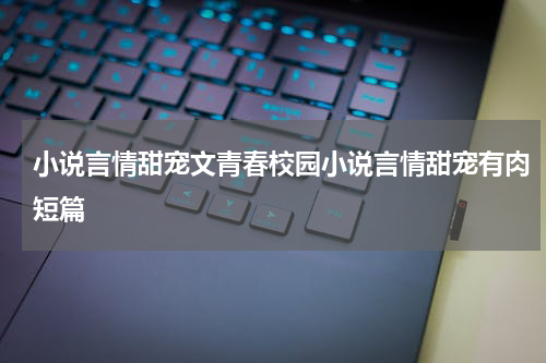 小说言情甜宠文青春校园小说言情甜宠有肉短篇