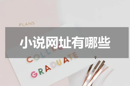 小说网址有哪些
