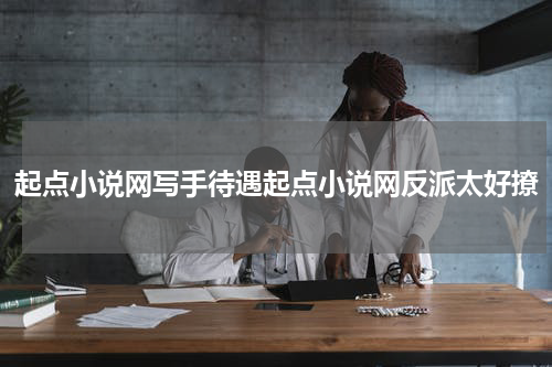 起点小说网写手待遇起点小说网反派太好撩