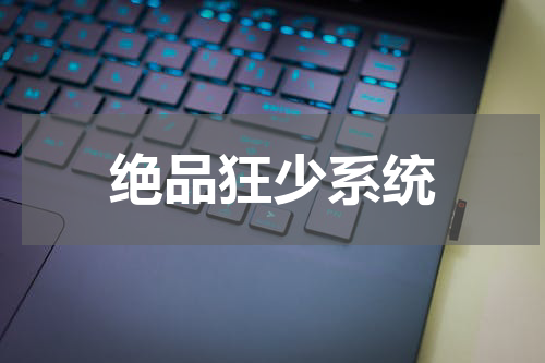 绝品狂少系统