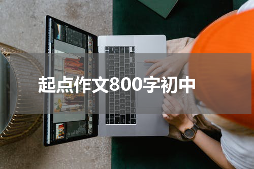 起点作文800字初中