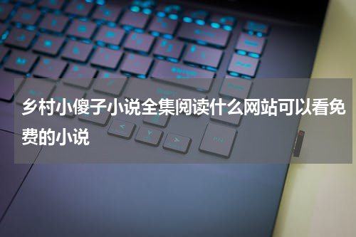 乡村小傻子小说全集阅读什么网站可以看免费的小说