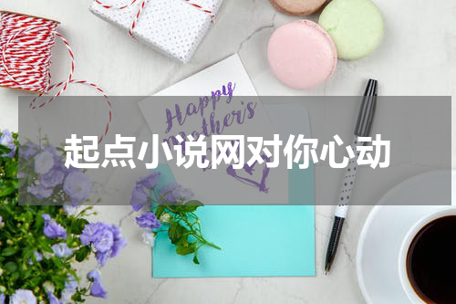 起点小说网对你心动