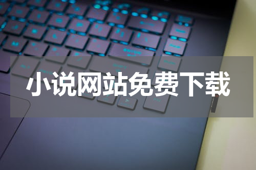 小说网站免费下载
