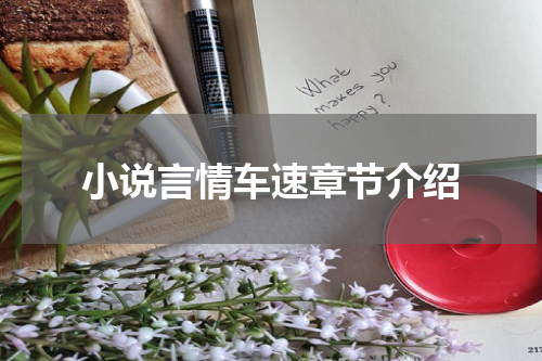 小说言情车速章节介绍