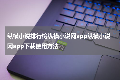 纵横小说排行榜纵横小说网app纵横小说网app下载使用方法