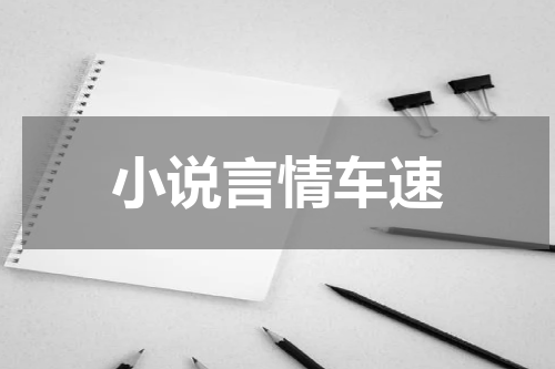 小说言情车速