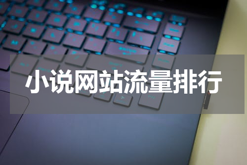 小说网站流量排行