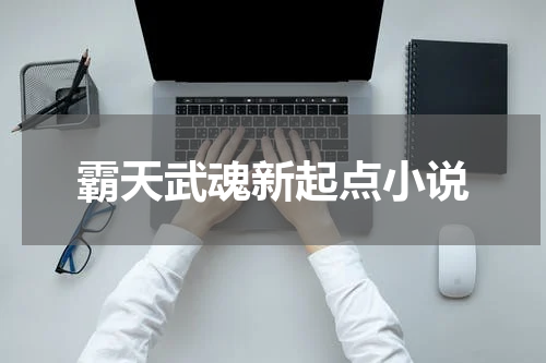 霸天武魂新起点小说