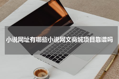 小说网址有哪些小说网文商城项目靠谱吗
