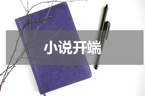 小说开端