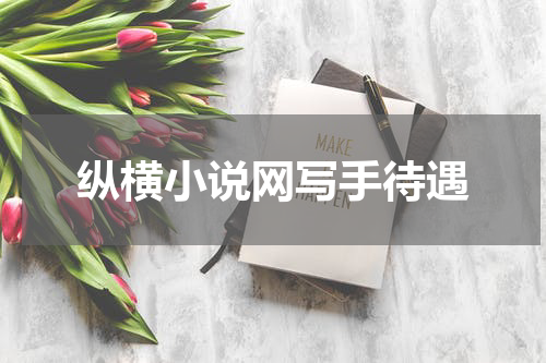 纵横小说网写手待遇