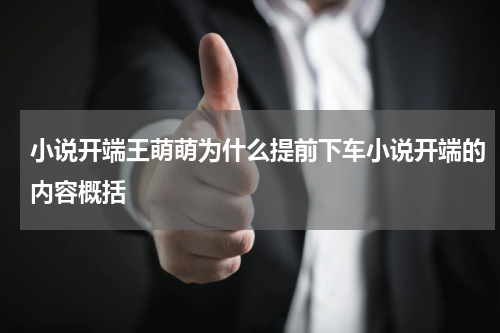 小说开端王萌萌为什么提前下车小说开端的内容概括