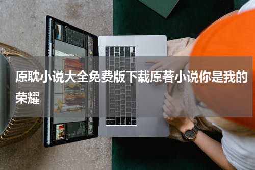 原耽小说大全免费版下载原著小说你是我的荣耀